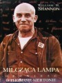 Milczaca_Lampa_Shannon.jpg