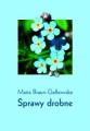 Sprawy_drobne_Braun-Galkowska.jpg