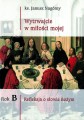 Wytrwajcie_w_miłości_mojej_rok_B_ks.Nagórny.jpg