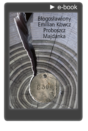 ebook_Emilian Kowcz.png