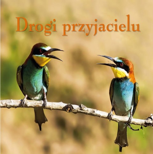 10 drogi przyjacielu_okl m.jpg